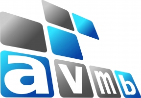 AVMB CONSULTORIA E ASSESSORIA - 