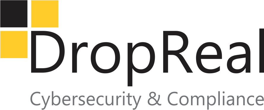 DROPREAL BRASIL LTDA - 