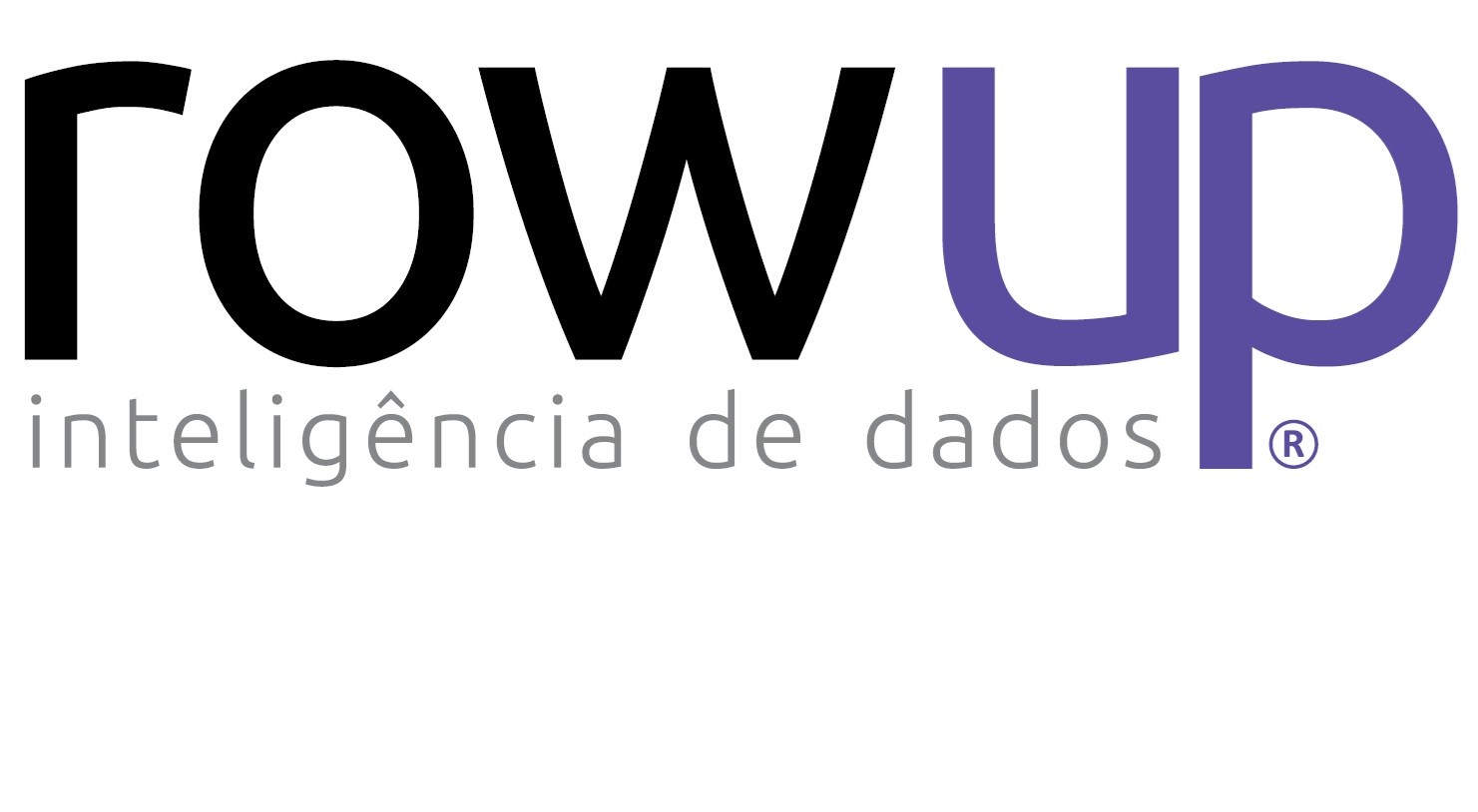 ROW UP SERVIÇOS DE INTELIGÊNCIA DE DADOS
