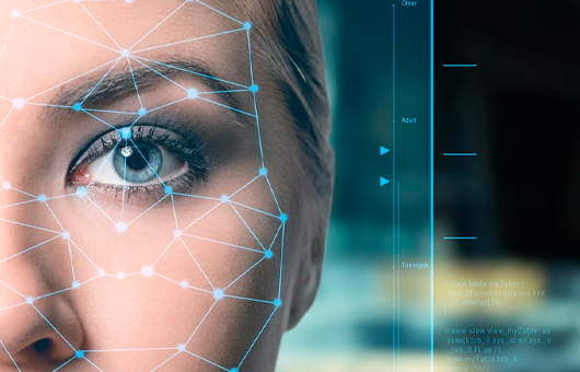 Projeto torna obrigatória confirmação facial para todas as vendas feitas pela internet - 